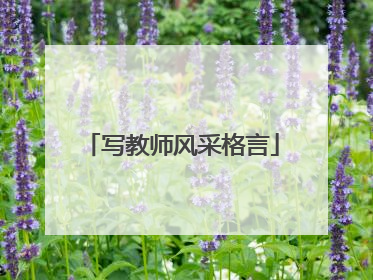 写教师风采格言