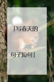 写春天的句子短句