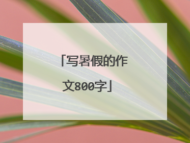 写暑假的作文800字