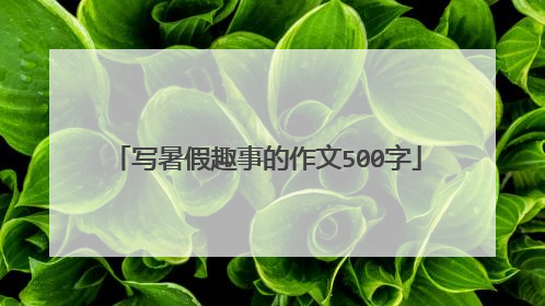 写暑假趣事的作文500字