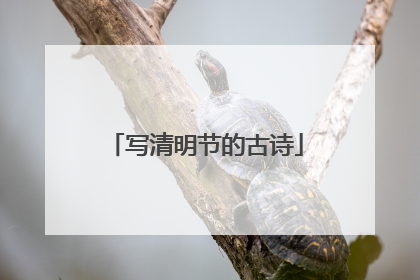 写清明节的古诗