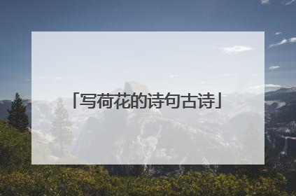 写荷花的诗句古诗