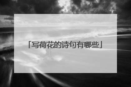 写荷花的诗句有哪些