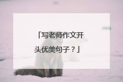 写老师作文开头优美句子？