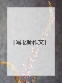 写老师作文