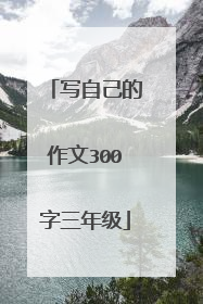 写自己的作文300字三年级