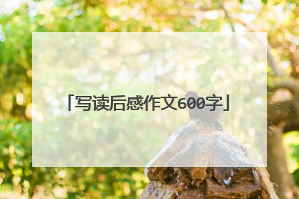 写读后感作文600字
