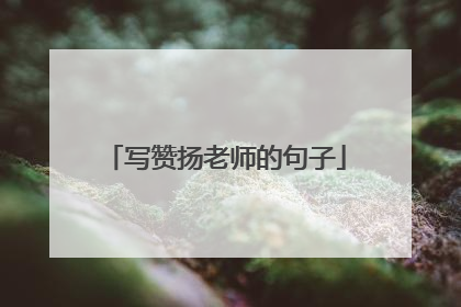 写赞扬老师的句子