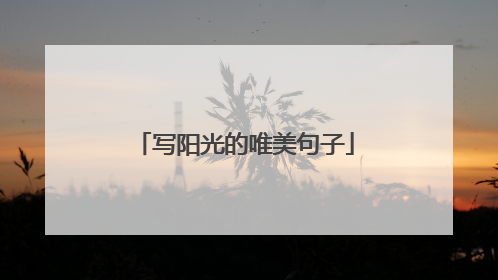 写阳光的唯美句子