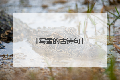 写雪的古诗句