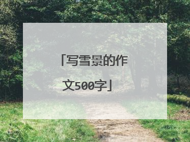 写雪景的作文500字