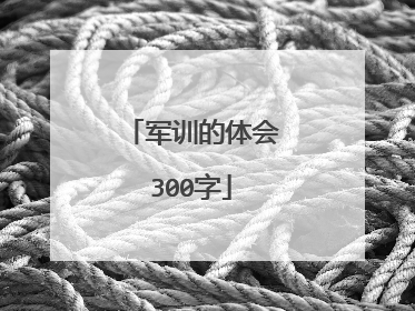 军训的体会300字