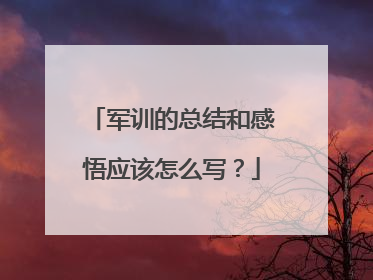 军训的总结和感悟应该怎么写？