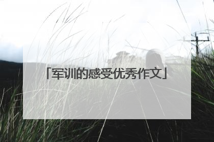 军训的感受优秀作文