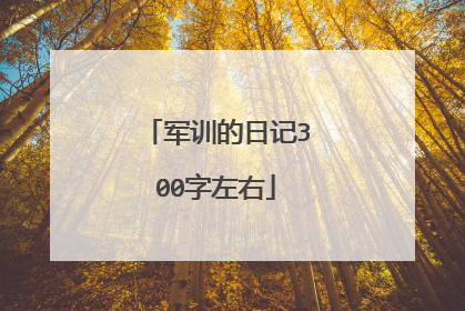军训的日记300字左右