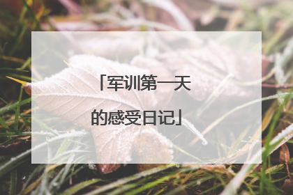 军训第一天的感受日记