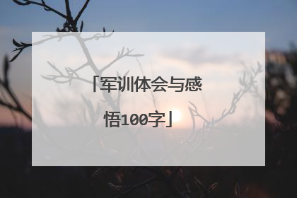 军训体会与感悟100字
