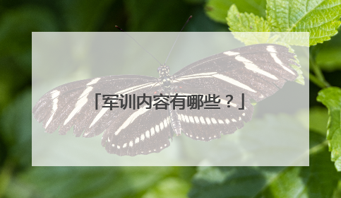 军训内容有哪些？