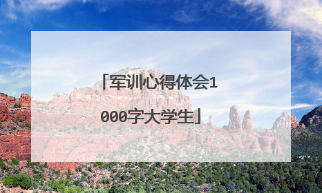 军训心得体会1000字大学生