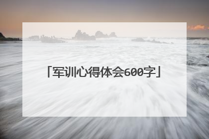 军训心得体会600字