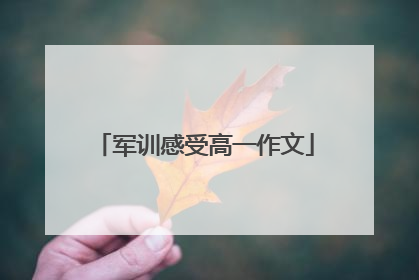 军训感受高一作文