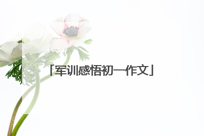 军训感悟初一作文