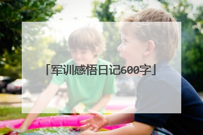 军训感悟日记600字