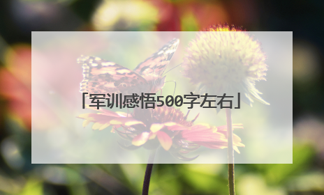 军训感悟500字左右