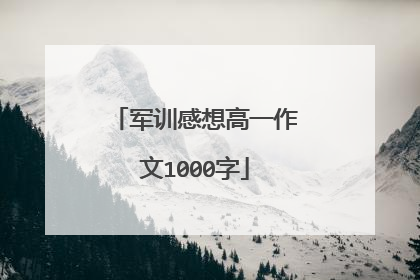 军训感想高一作文1000字