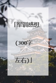 军训感想(300字左右)