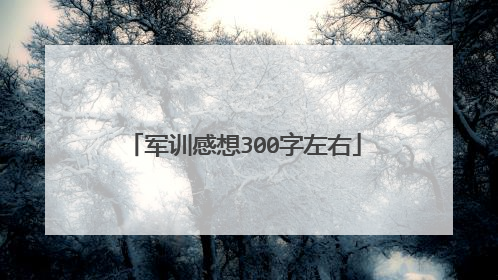 军训感想300字左右