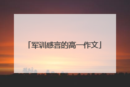 军训感言的高一作文