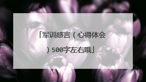 军训感言(心得体会)500字左右哦