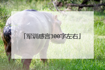 军训感言300字左右