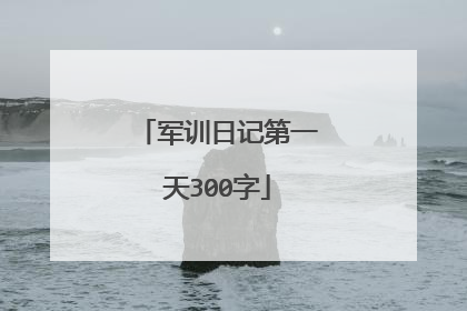 军训日记第一天300字