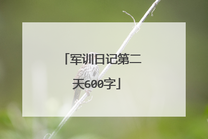 军训日记第二天600字