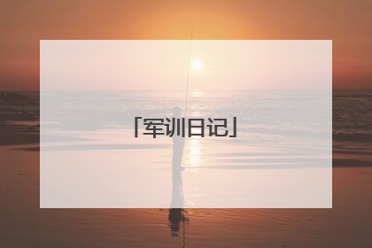 军训日记