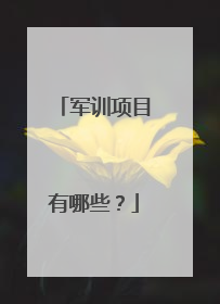 军训项目有哪些？