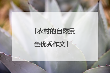 农村的自然景色优秀作文