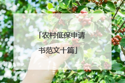 农村低保申请书范文十篇