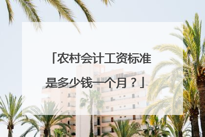 农村会计工资标准是多少钱一个月？