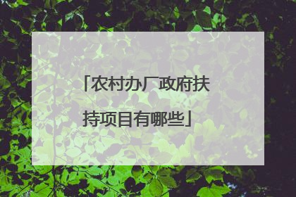农村办厂政府扶持项目有哪些