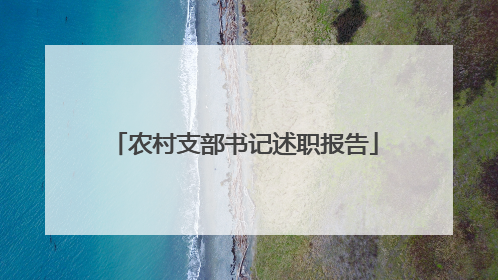 农村支部书记述职报告