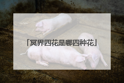 冥界四花是哪四种花