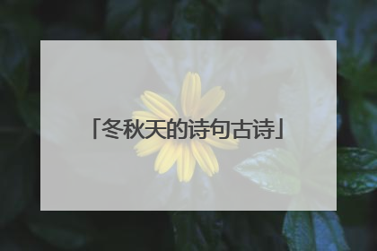 冬秋天的诗句古诗