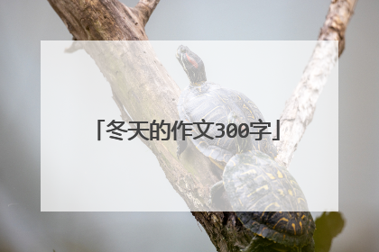 冬天的作文300字