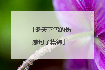 冬天下雪的伤感句子集锦