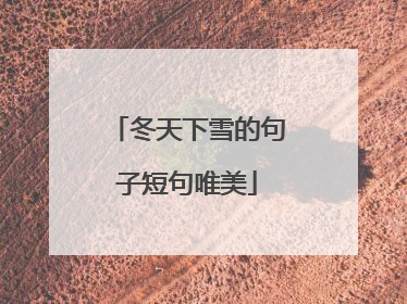 冬天下雪的句子短句唯美