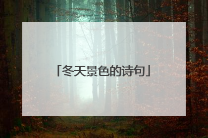 冬天景色的诗句