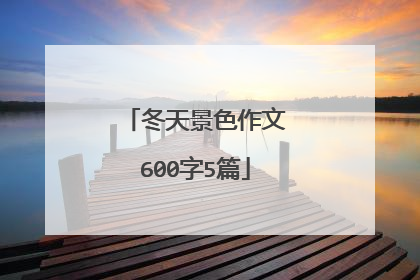 冬天景色作文600字5篇